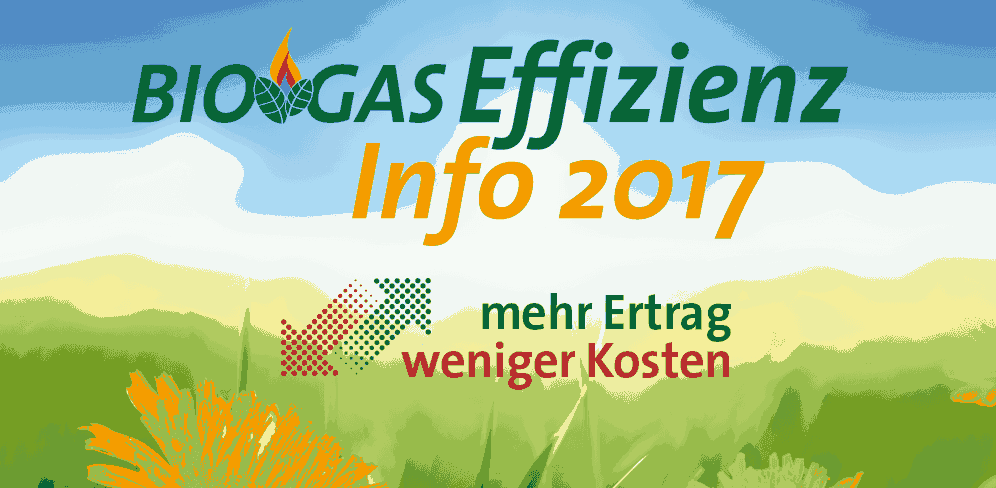 Biogas Effizienz info 2017