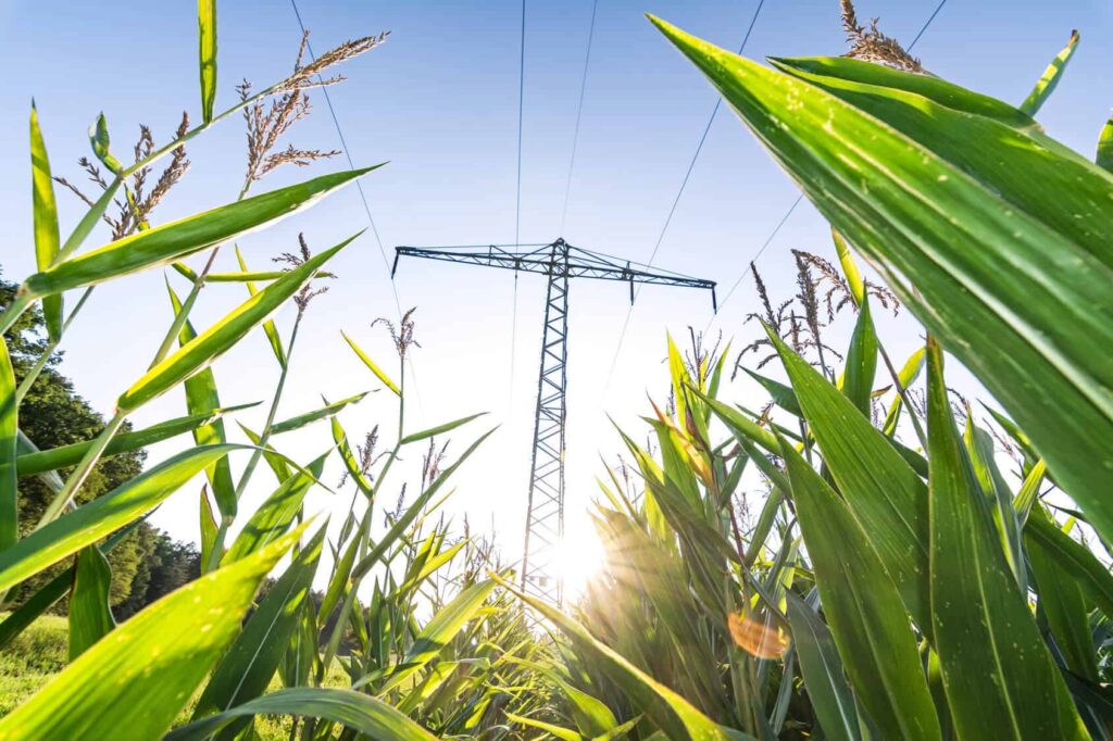 Biogas - ein Beitrag zum Klimaschutz? (Teil 1)