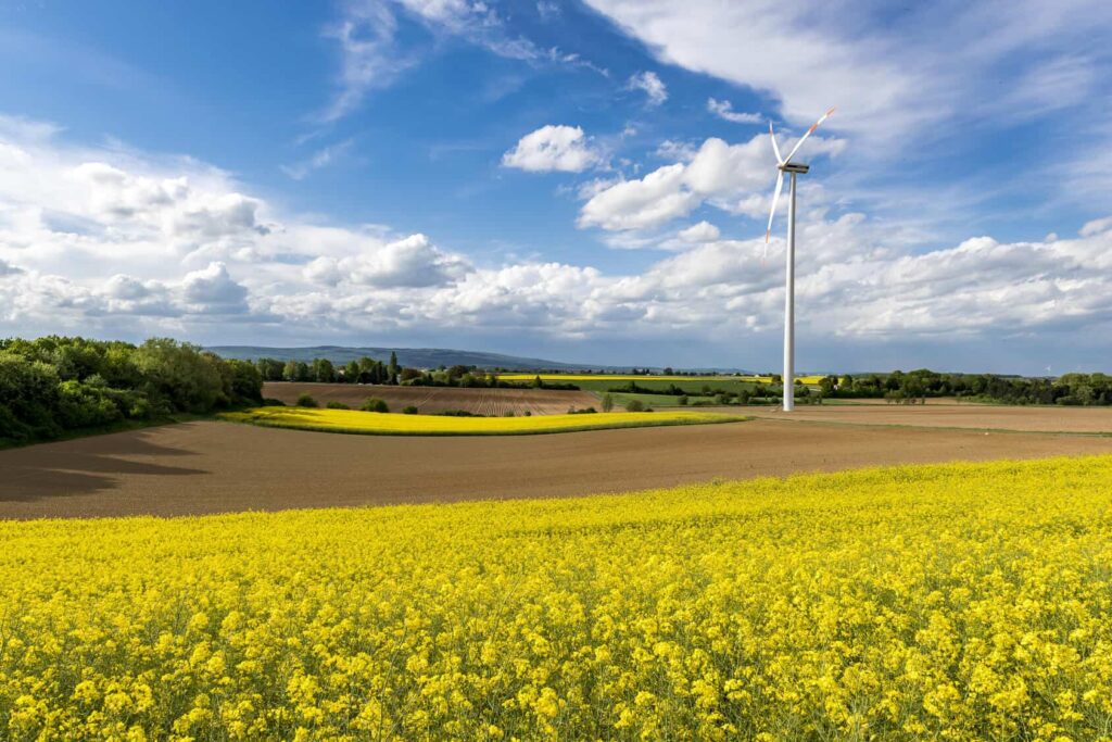 Die Zukunft der Erneuerbaren Energien – wohin geht der Weg?