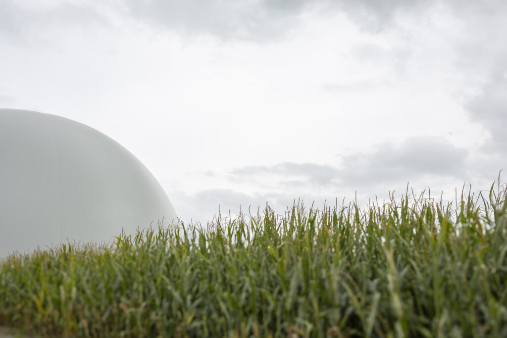 Weiße Kuppel eines Biogasspeichers hinter einem Maisfeld unter bewölktem Himmel
